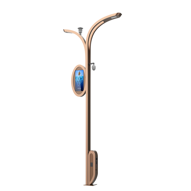 Smart City Modern Type Customized Function Wisdom Light Pole